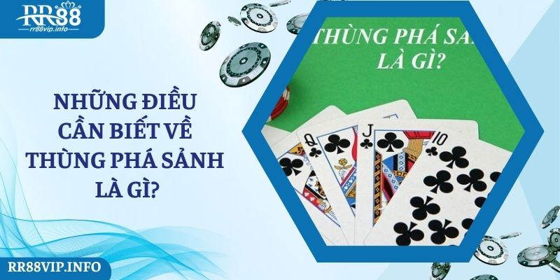 Những điều cần biết về thùng phá sảnh là gì?